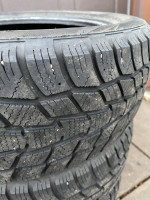 Mastercraft Snow Tires 205/55r/16