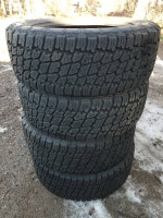 Nitto Terra Grappler G2 LT265 60 20 10 ply.