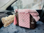 Luis Vuiton Pet Carrier Bag