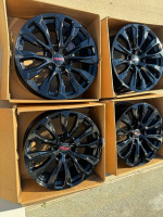 Gm Oem 22”