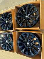 Gm Oem 22”