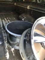 mustang rims