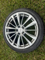 19" Infinity Rear Wheel
