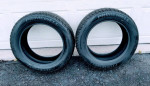 2 - Primwell 205/55/16 All Season tires
