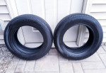 2 - Dunlop 195/65/15 Enasave All Season tires