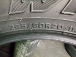 265 60 20
