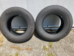 Yokohama Geolandar 255/70/17 Tires