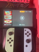 Playstation 4 and Nitendo Switch Bundle