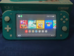 2 Nintendo switch lite both 150.00 firm